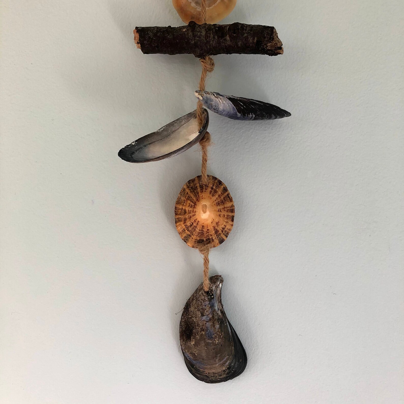 Colgante de pared de concha colgante de conchas marinas | Etsy