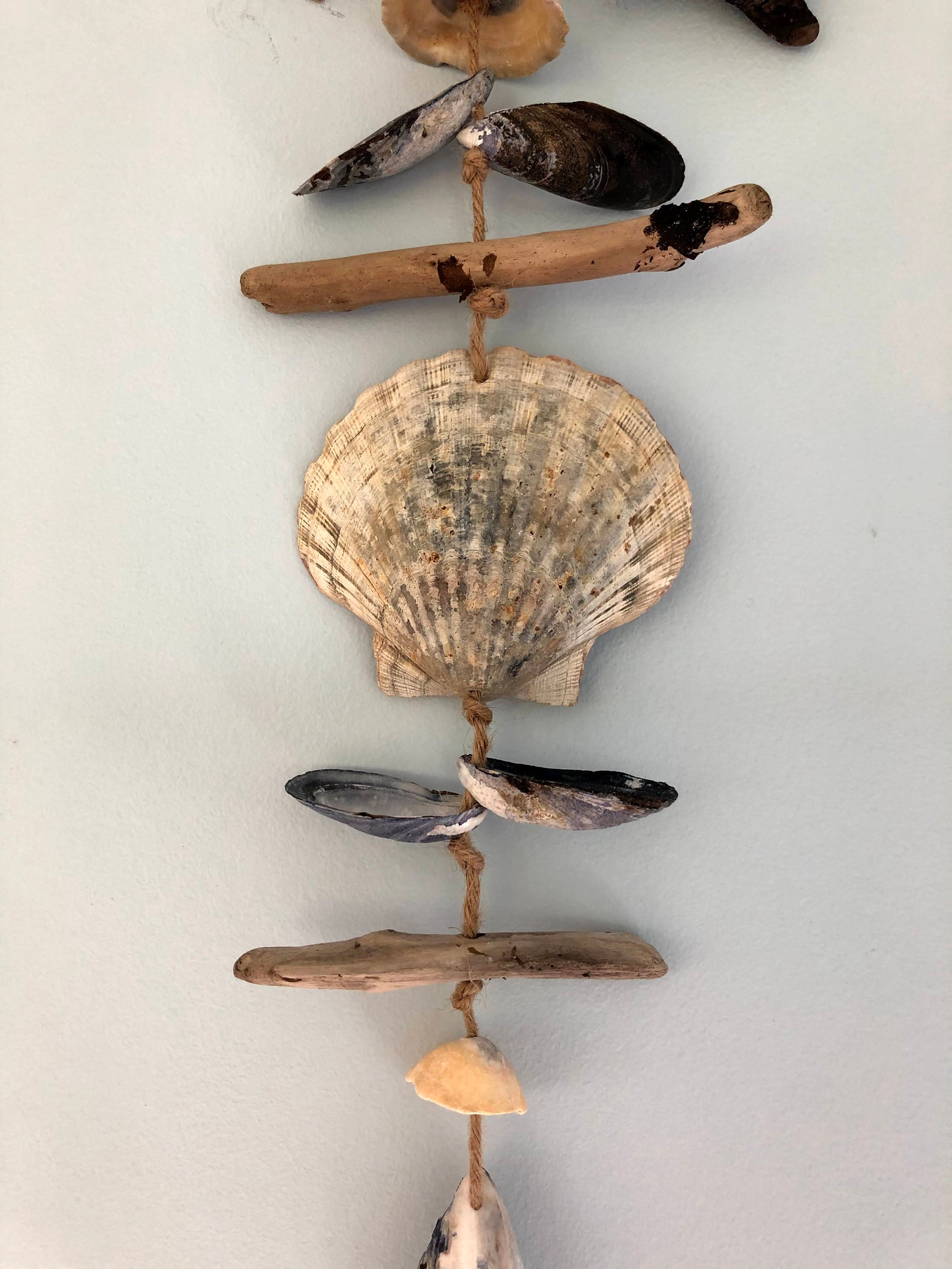 Shell Wall Hanging Seashell Hanging Coastal Decor Shell Etsy