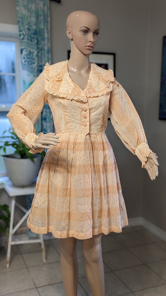 Peach; Carol Brent; Vintage Dress; Montgomery Ward
