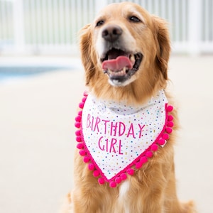 Birthday girl dog bandana, birthday girl, girl birthday, first birthday girl, gold birthday, glitter birthday, birthday party, hot pink