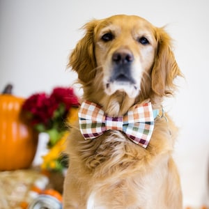 Thanksgiving dog bow tie cheap