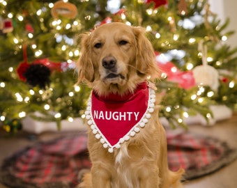 Holiday bandana discount
