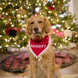 Christmas Dog Bandana, naughty dog, holiday, naughty and nice, naughty dog bandana,over the collar, funny, slide, pom, gift