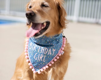 Könnte beinhalten: Ein Golden Retriever trägt ein blaues Halstuch mit dem Text "BIRTHDAY GIRL" in Rosa. Das Halstuch hat ein Konfetti-Muster und einen rosa Bommelbesatz. Der Hund ist an einem sonnigen Tag im Freien.