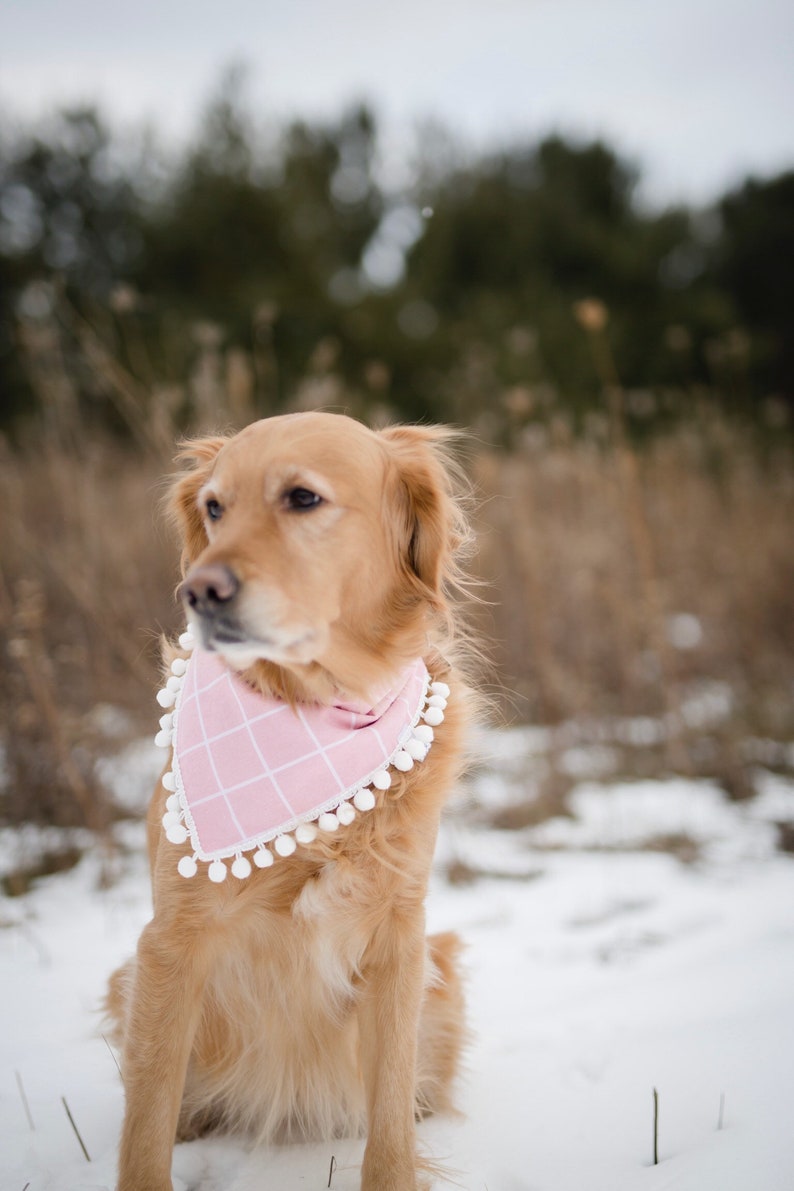 over the collar dog bandana personalized bandana over the collar bandana Valentines dog bandana Valentines bandana