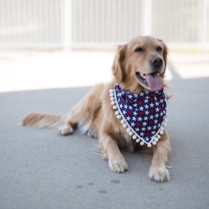 4th of July dog bandana, Independence Day, 4th of July, Summer Dog Bandana