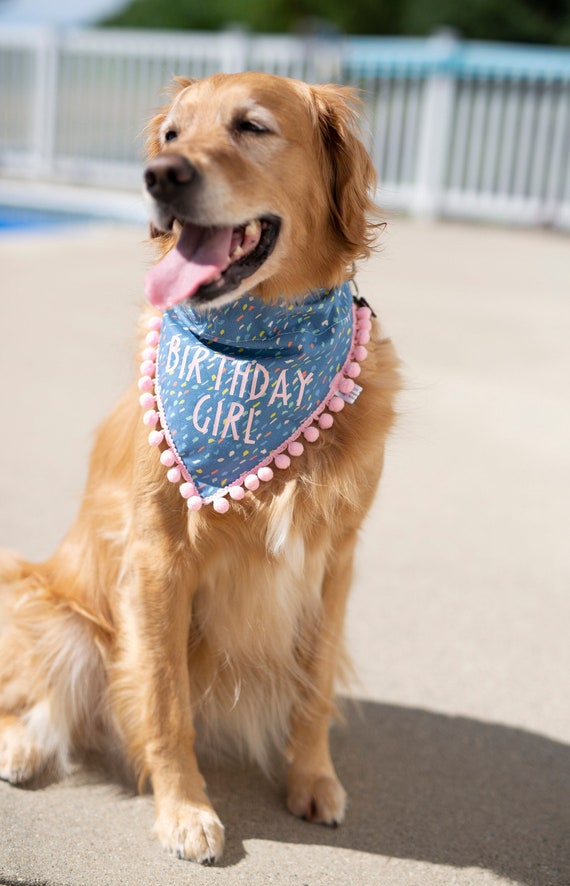 Birthday girl bandana deals