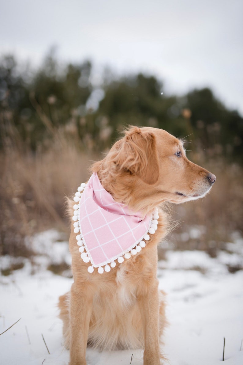 over the collar dog bandana personalized bandana over the collar bandana Valentines dog bandana Valentines bandana