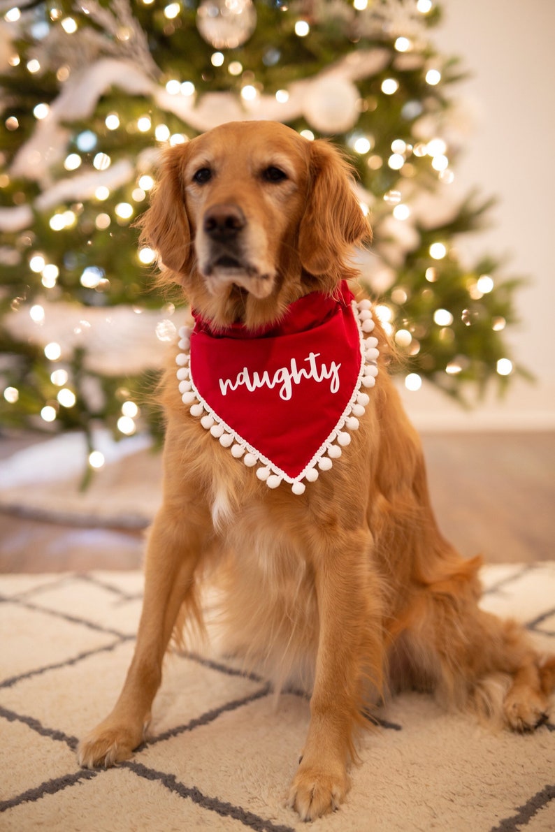 Naughty christmas, holiday, dog bandana, red, christmas, over the collar, pom pom dog bandana, naughty dog, white and red, script, fringe image 1
