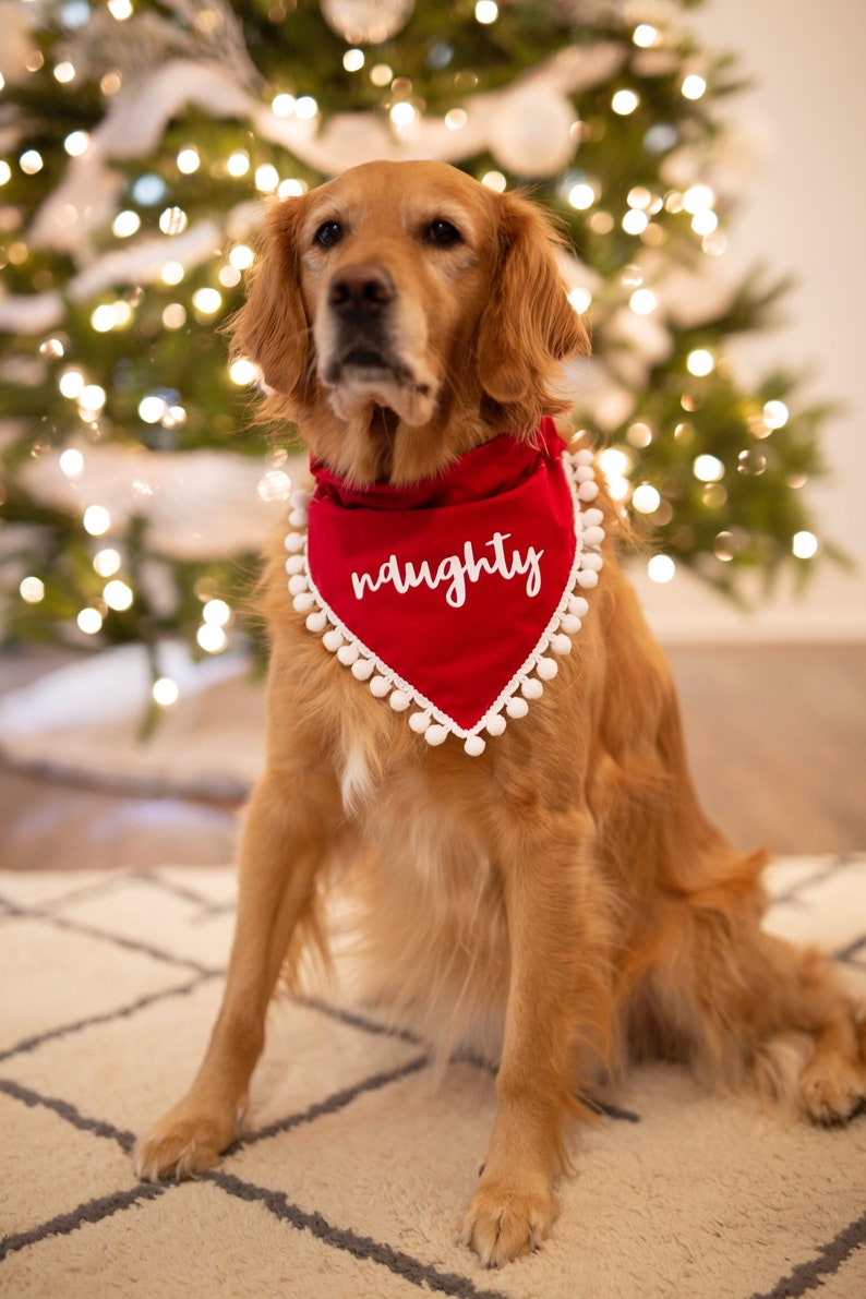 Naughty christmas, holiday, dog bandana, red, christmas, over the collar, pom pom dog bandana, naughty dog, white and red, script, fringe image 6