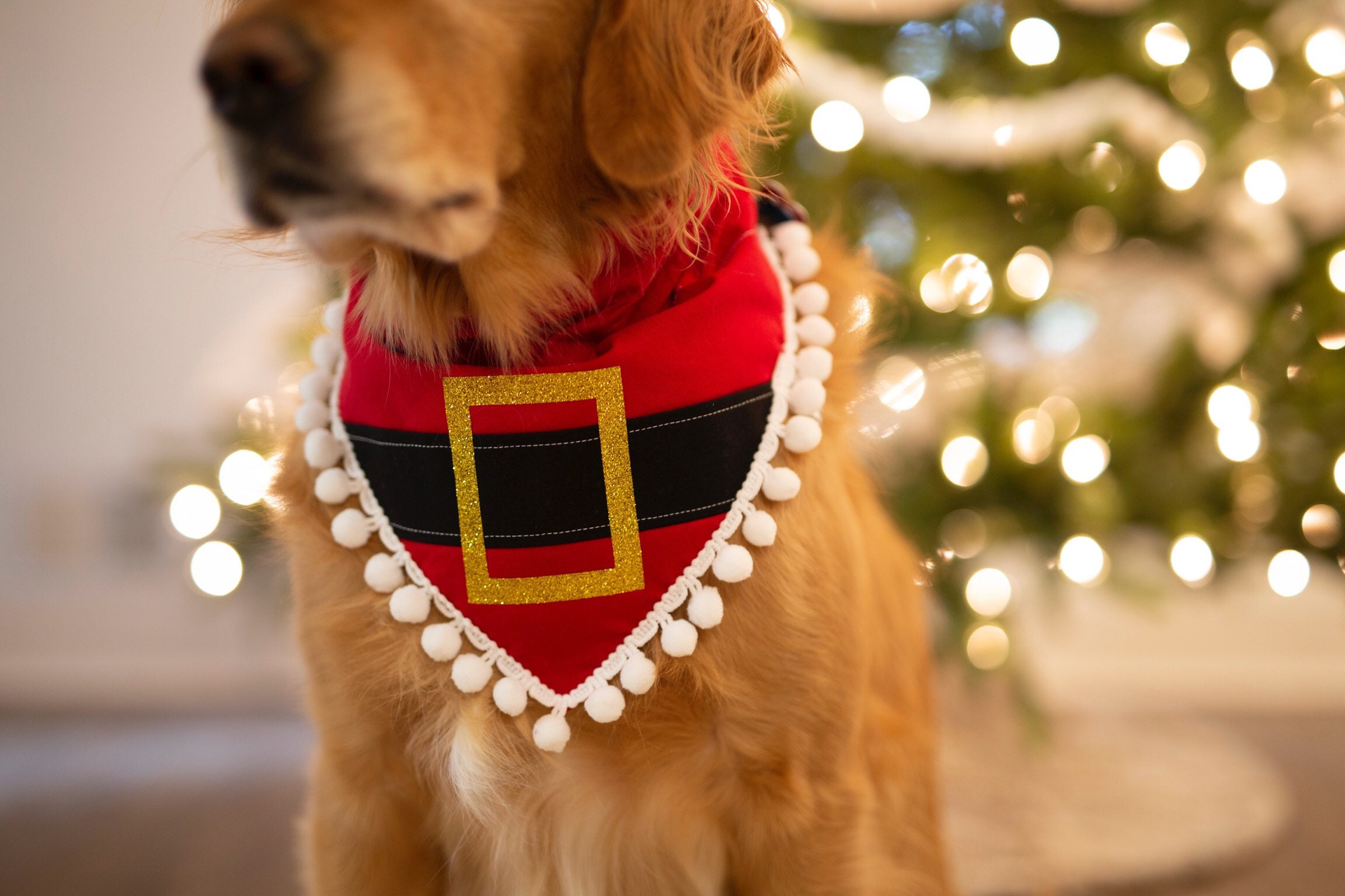 Christmas, Holiday, Dog Bandana, Santa Clause, Red and White, Pom