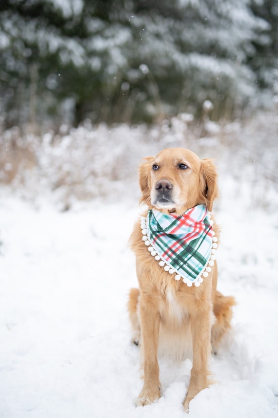 Winter Dog Bandana, Christmas Dog Bandana, Over the Collar Dog