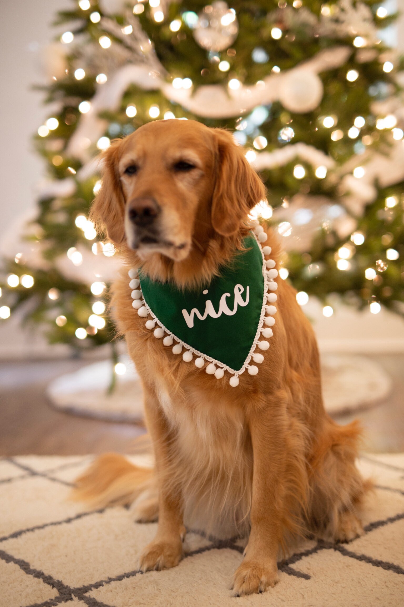 Nice Christmas, holiday, over the collar, nice bandana, nice, extra large, large bandana, pom pom bandana, fringe  bandana, green, naughty