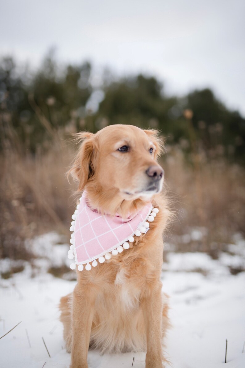 over the collar dog bandana personalized bandana over the collar bandana Valentines dog bandana Valentines bandana