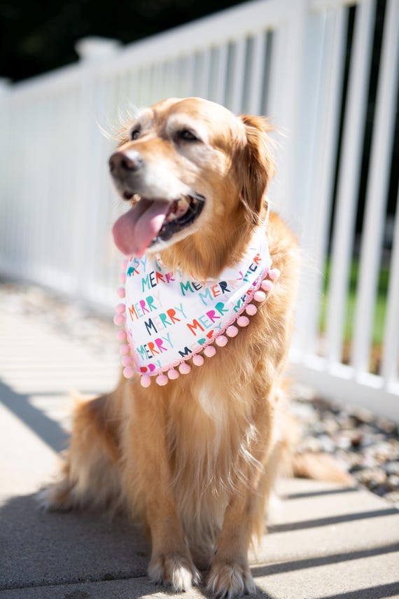 Merry Dog Bandana, Christmas Dog Bandana, Winter Dog Bandana