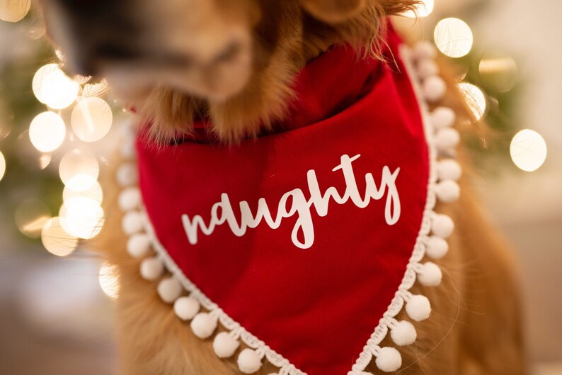 Naughty christmas, holiday, dog bandana, red, christmas, over the collar, pom pom dog bandana, naughty dog, white and red, script, fringe image 5