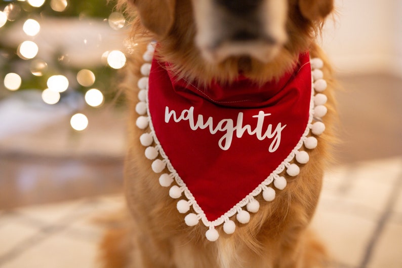 Naughty christmas, holiday, dog bandana, red, christmas, over the collar, pom pom dog bandana, naughty dog, white and red, script, fringe image 4
