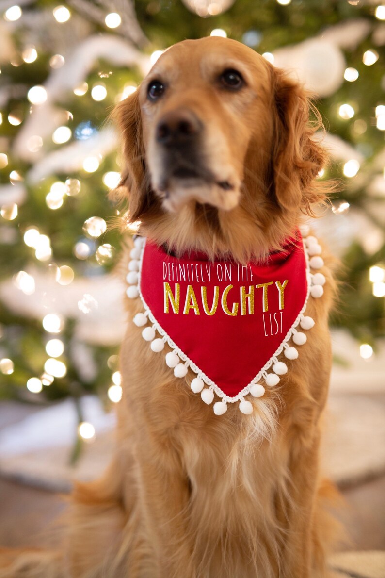 Naughty Dog Bandana Etsy