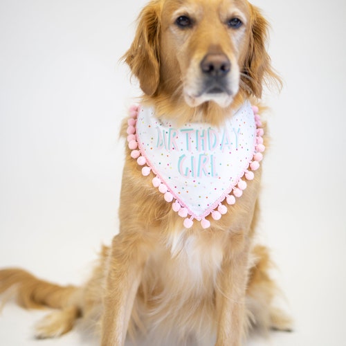 zilla hinged screen cover