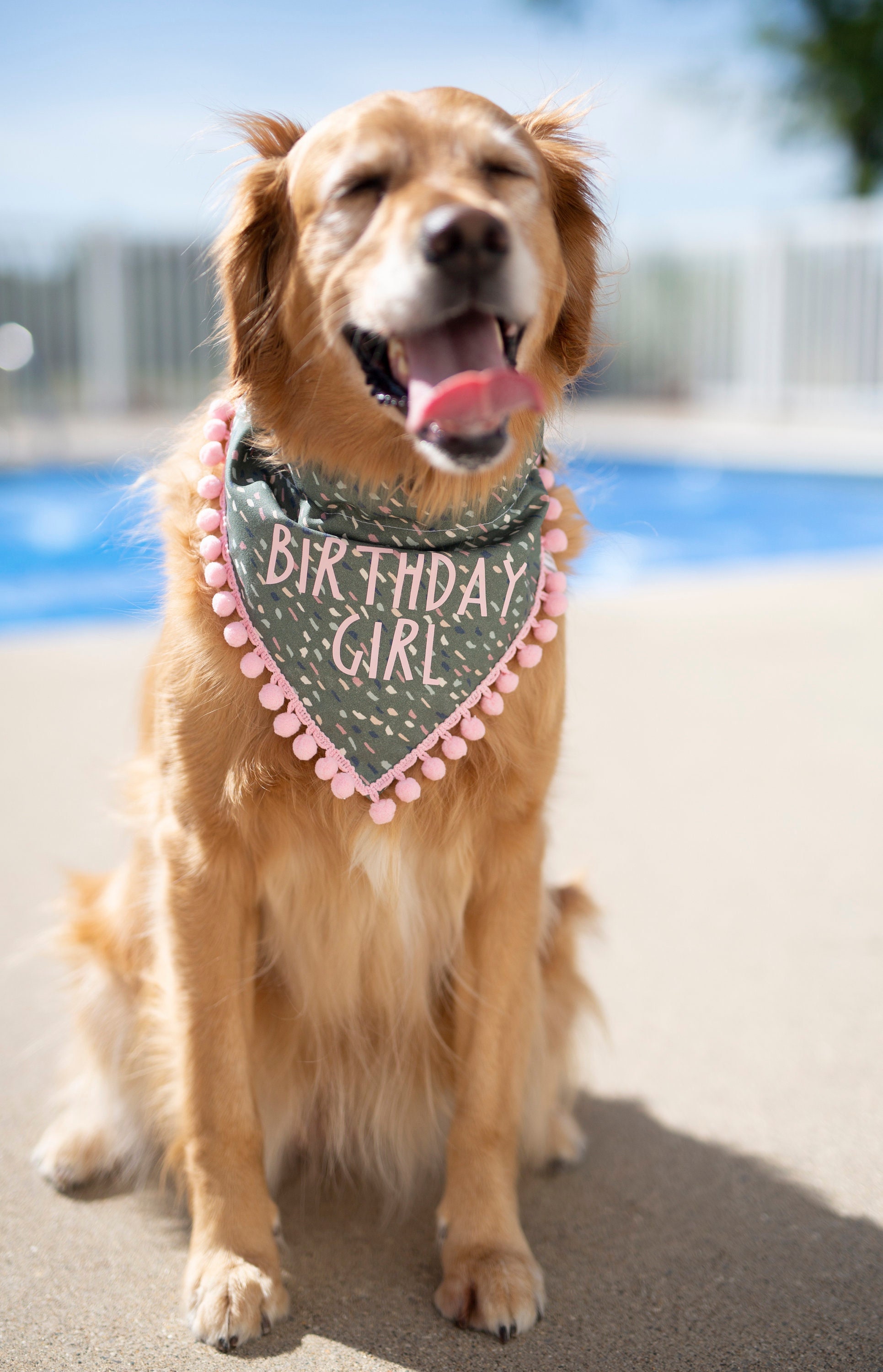 Birthday Girl Dog Bandana, Birthday Girl, Birthday, First Gold Glitter Party, Hot Pink