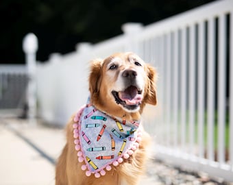 Back to school, first day of school, teacher gift, teacher appreciation, teacher love, teach, teacher gifts, teacher gifts dog bandana, dog