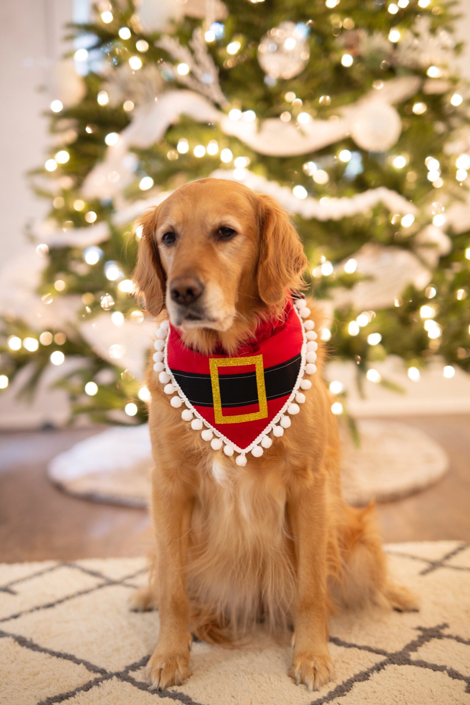 ❤︎クリスマスバンダナ❤︎ Christmas, Holiday, Dog Bandana, Santa Clause, Red and White, Pom