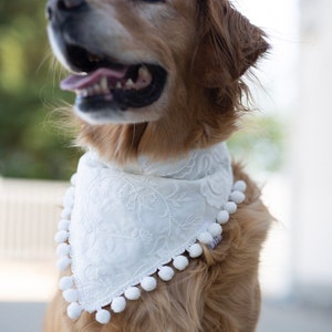 Wedding dog, bandana, over the collar, wedding, wedding gift, dog of honor, maid of honor, groomsmen, wedding, gift for wedding, bride,groom