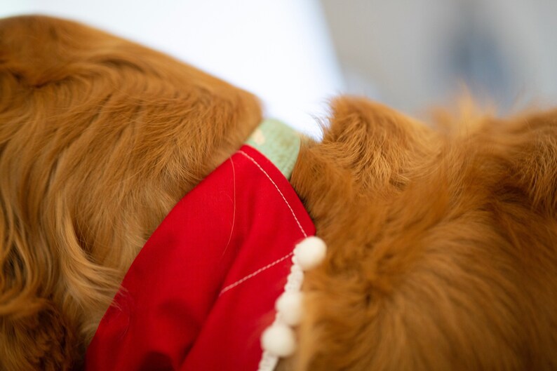 Naughty Dog Bandana Etsy