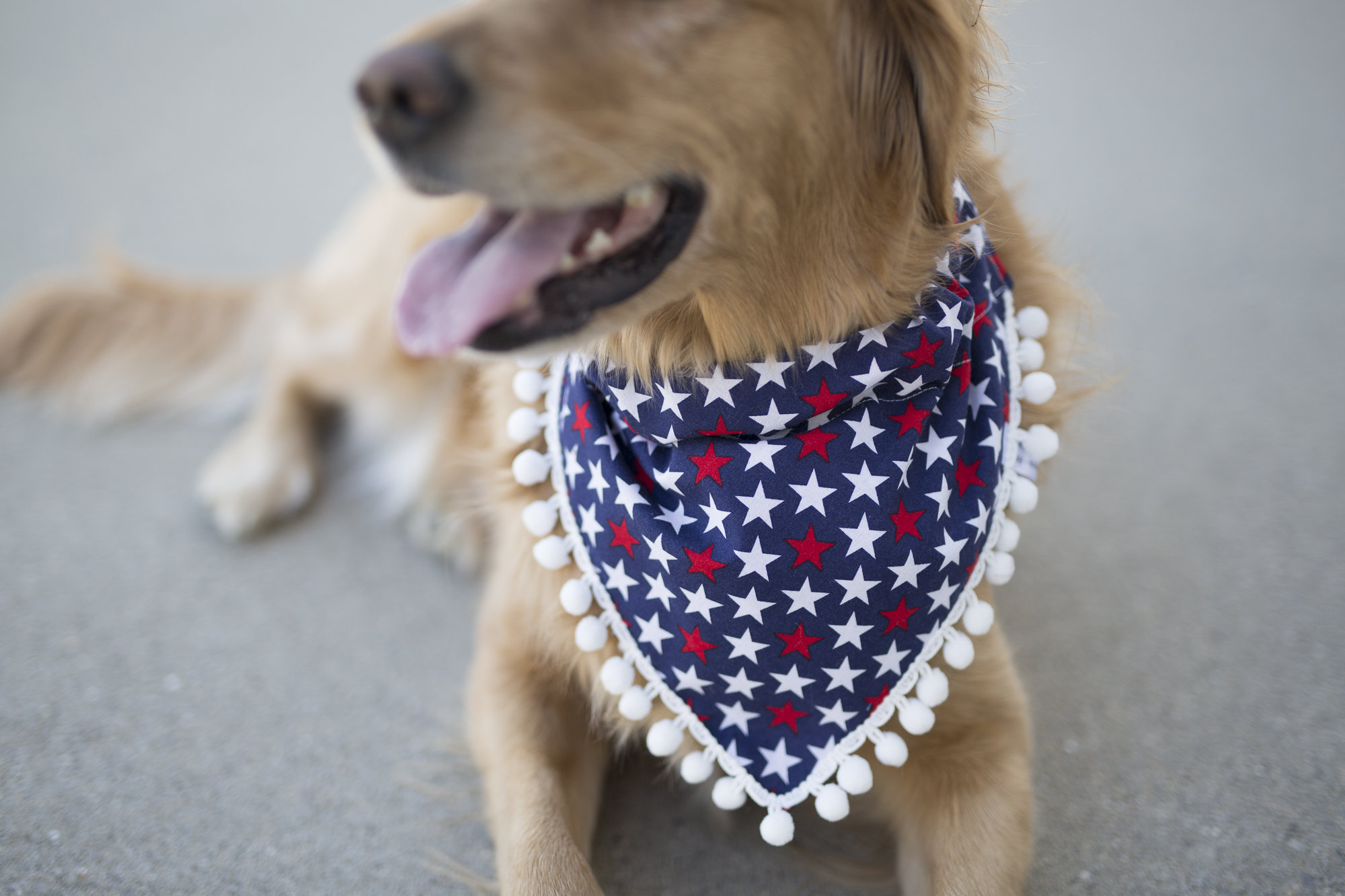 4Th Of July Dog Bandana, Stars & Pom Trim