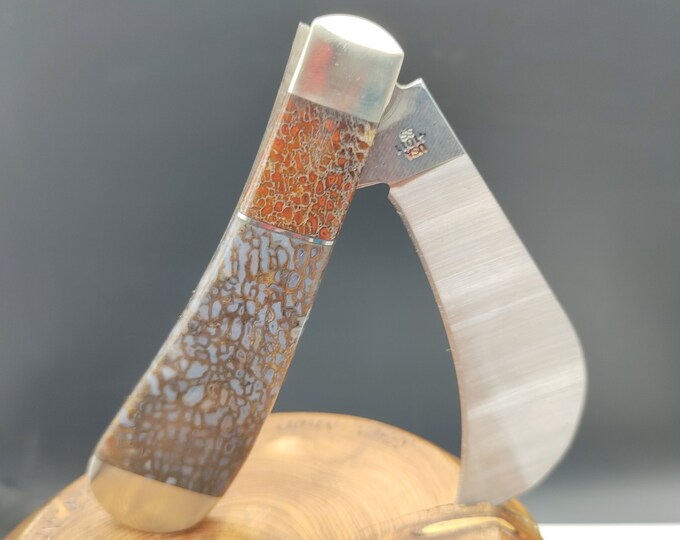 Case Hawkbill Pocket Knife With Dinosaur Bone Agate Collectible Men's