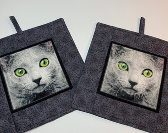 Gatto Certosino Etsy