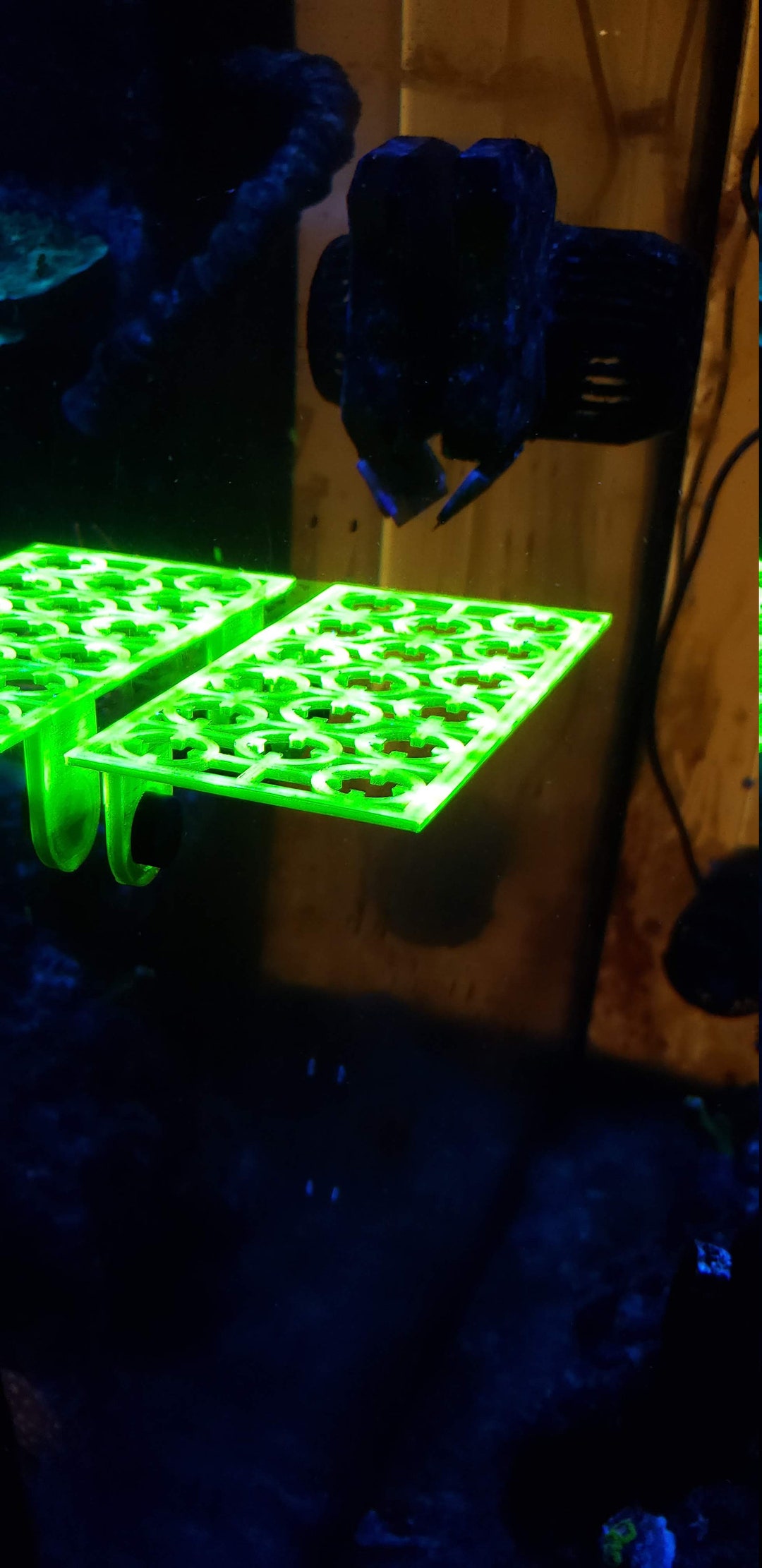 Magnetic Angled Coral Frag Photo Booth – 3D Printed PETG For Reef Aquarium Photos