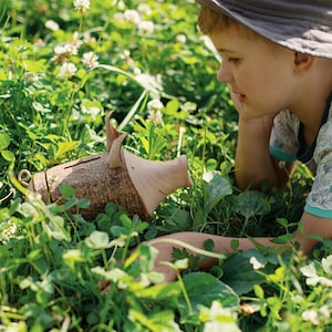 May include: A wooden piggy bank shaped like a pig, with a bark-like texture, is lying in a field of green grass and white flowers. A young person is lying in the grass, looking at the piggy bank.
