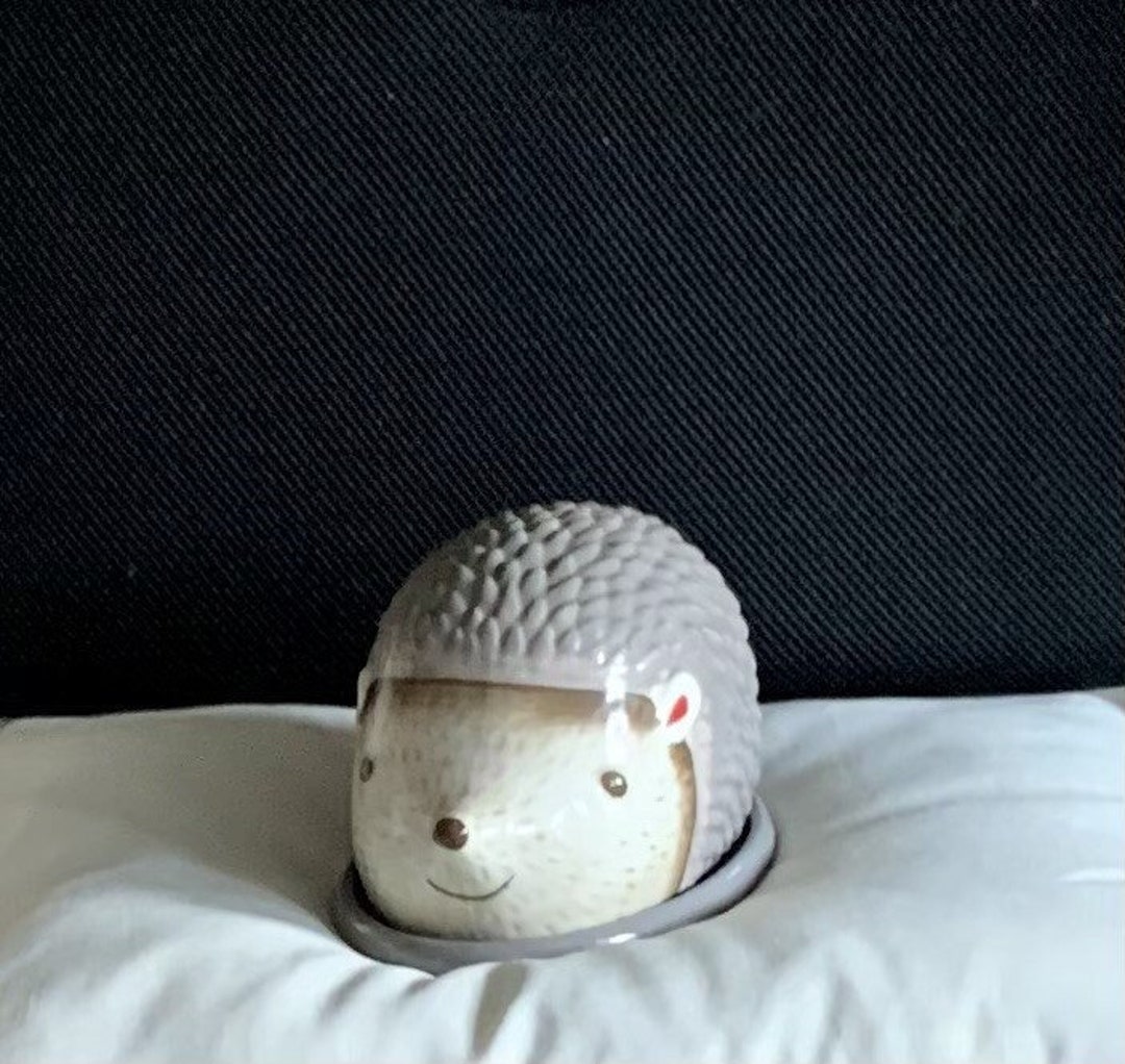 Ceramic Hedgehog Butter / Cheese Dish Etsy