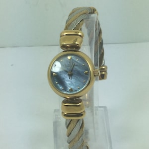 Pierre Laurent Blue Watch visage