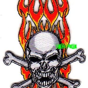 May include: A silver skull with crossed bones is surrounded by flames. The flames are red and yellow. The skull has a menacing expression.