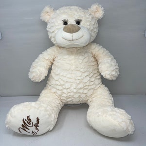20&quot; Quince Años Quinceañera Last Doll Teddy Bear
