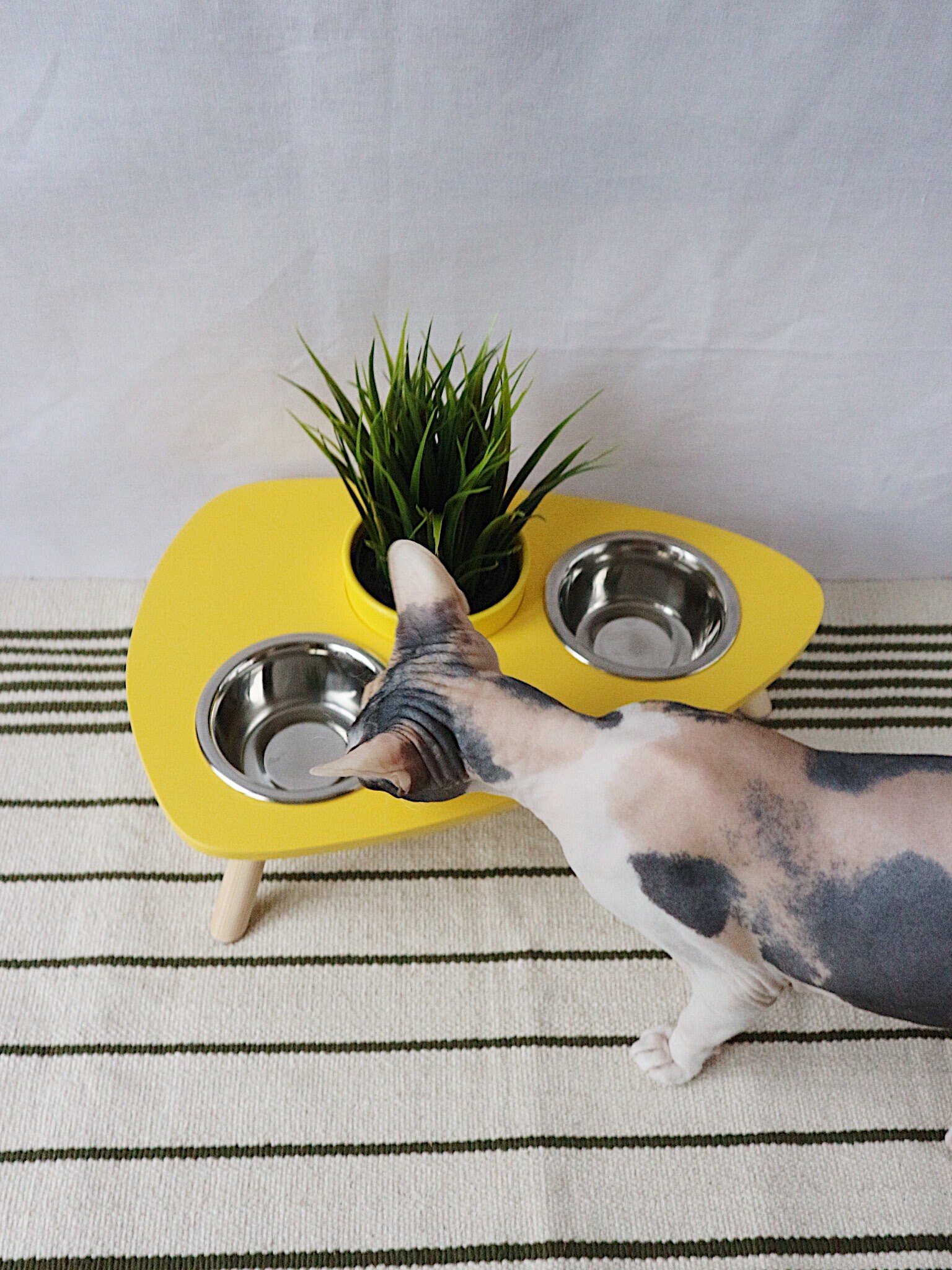 Etsy Katzenmöbel: Stilvolles Design für deine Samtpfoten - Il Fullxfull.1901407359 5wfm