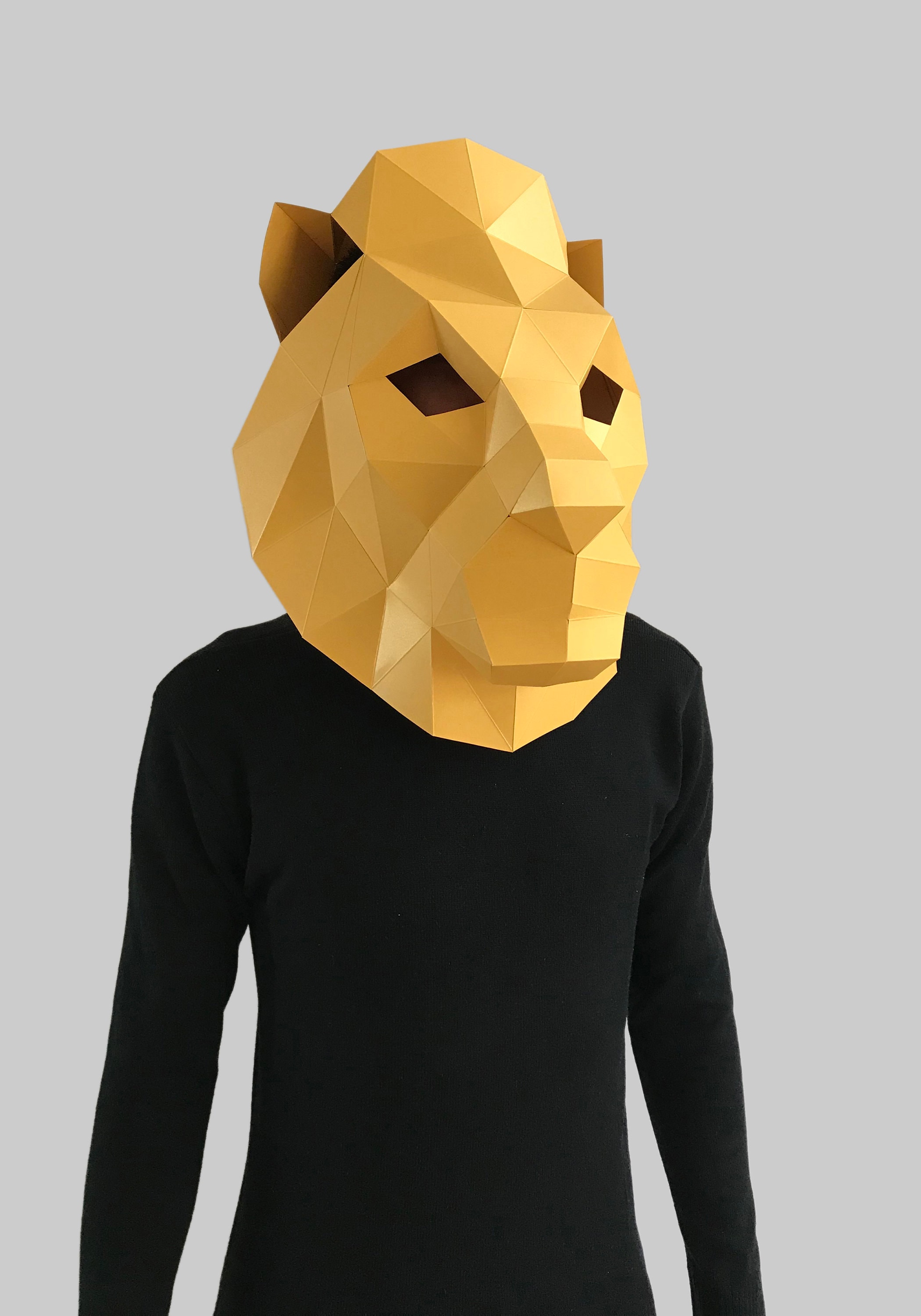 Lion King Mask Template