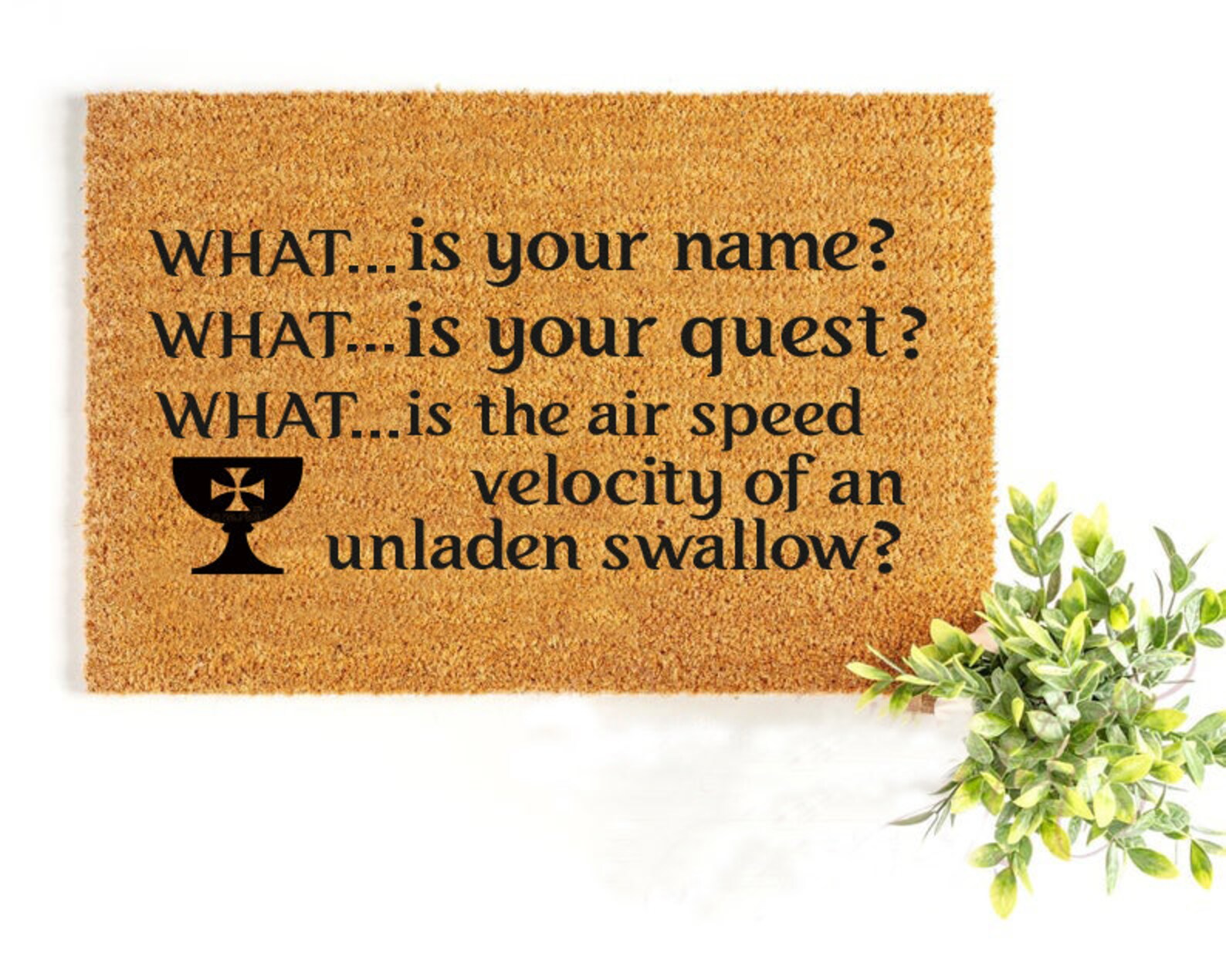 What Is Your Name Doormat Monty Python Doormat Personalized Etsy