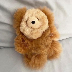 May include: A brown and cream coloured plush teddy bear with a fluffy texture. The bear is sitting on a light grey surface.