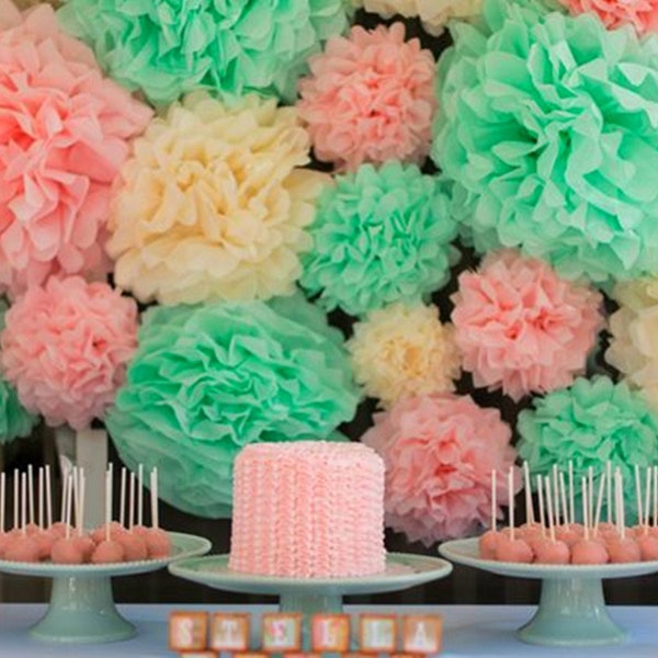 Tissue Paper Pom Poms Flower Balls-Tissue paper pom pom balls for wedding Decoration-Photobooth backdrop-Party Supply diy craft paper flower