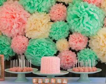 Tissue Paper Pom Poms Flower Balls-Tissue paper pom pom balls for wedding Decoration-Photobooth backdrop-Party Supply diy craft paper flower