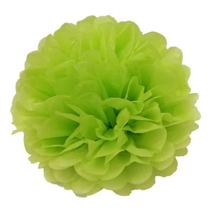 Tissue Paper Pom Poms Flower Balls-tissue Paper Pom Pom Balls for Wedding Decoration-photobooth ...