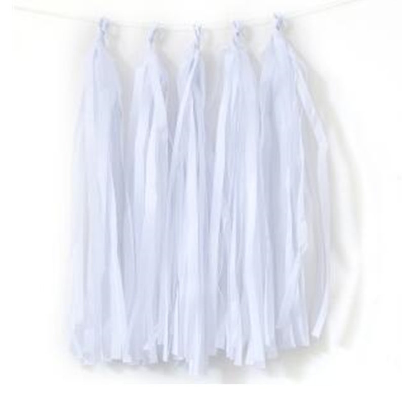 Tissue Paper Tassel Garland /5 Pcs Fiesta Tissue Tassel Etsy