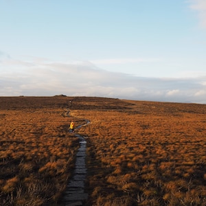 May include: A figure in a yellow jacket follows a stone path across a vast moorland. The scene is dominated by golden-brown grasses under a sky of blue and clouds. The path leads towards the horizon.