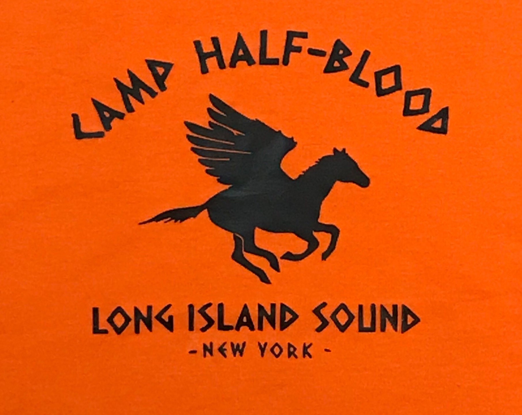 Camphalfblood Percy - Stallion Png,Camp Half Blood Logo - free