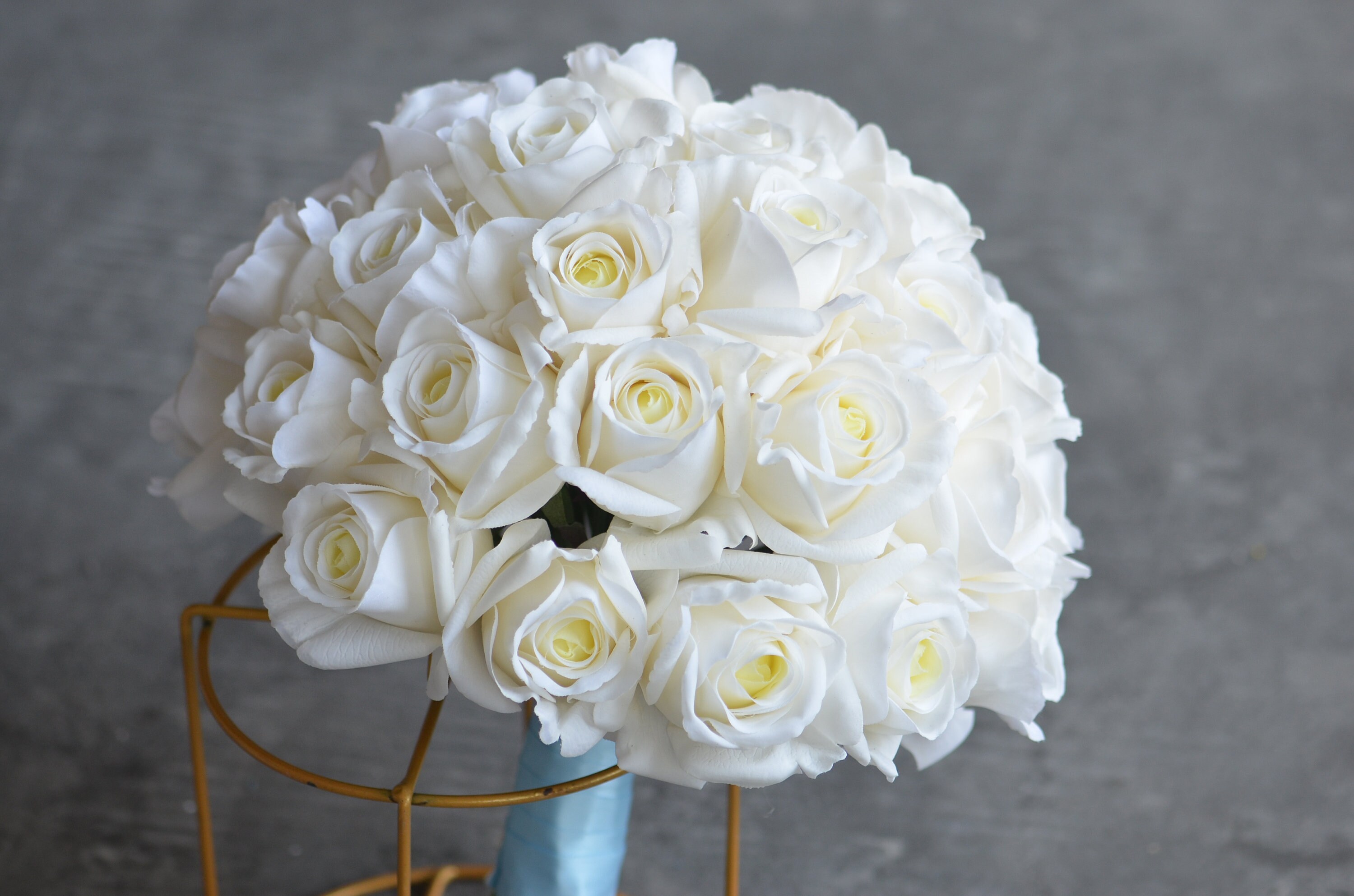 Off White Roses Hello 12