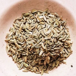50 Seeds 50+ Foeniculum vulgare I semi di finocchio bronzo erbe 50 Seeds 50+ Foeniculum vulgare I semi di finocchio bronzo erbe