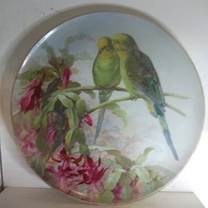 handbemalte Schale 12" von Budgerigars gemalt im Jahr 1895 von A G Herk, österreichische Keramik Wandbehang Ladegerät